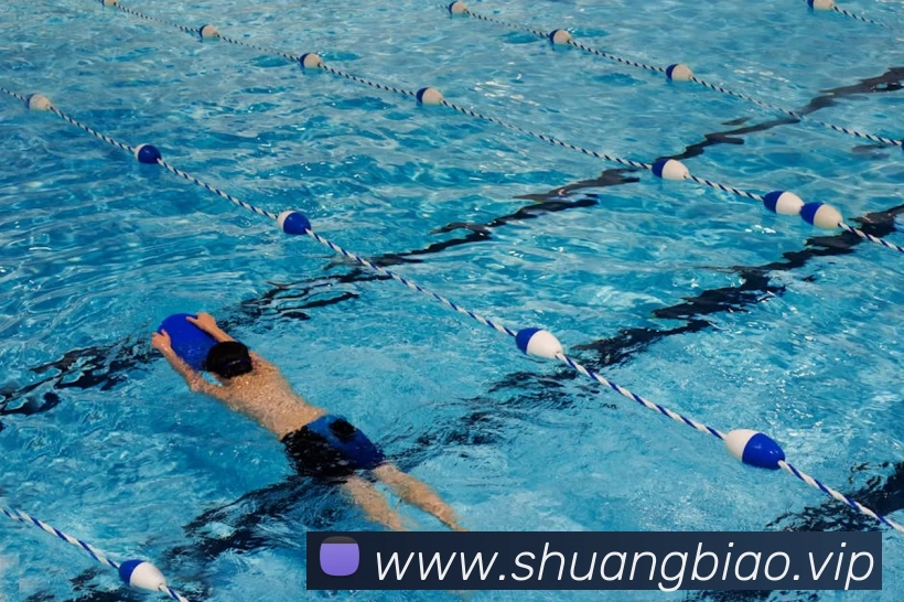 开云手机站登录入口 - 开云online(中国)平台生态图